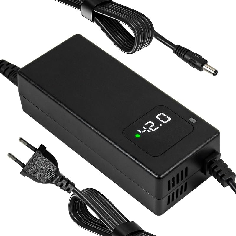 YANGZIDIANYUAN Caricabatterie per scooter elettrici 42V 2A per batterie agli ioni di litio…