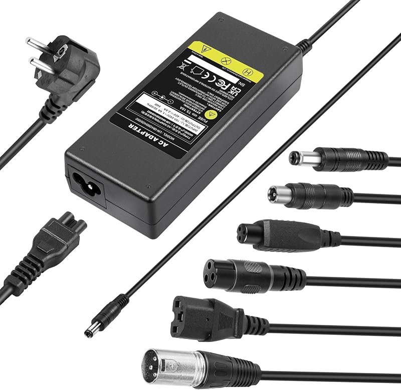 LabTEC Caricabatterie bici elettrica 42V 2A per 36V 2A 10S batteria Li-on Caricatore…