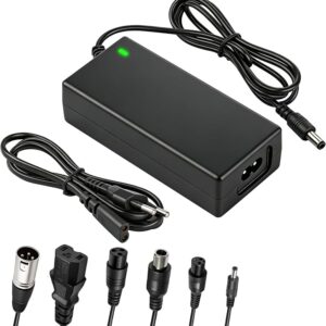 Caricabatterie Monopattino Elettrico 42V 2A Universale
