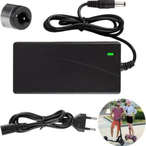Caricatore Monopattino Elettrico Xahpower 42 V Compatibile con Hiboy S2