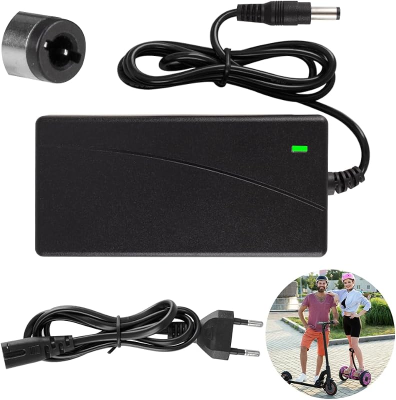 Caricatore Monopattino Elettrico Xahpower 42 V Compatibile con Hiboy S2