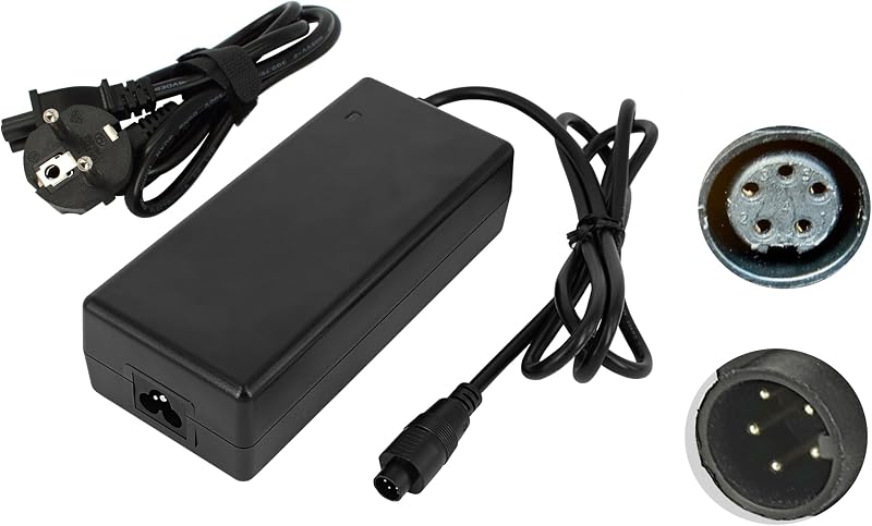Caricatore PowerSmart 2A SV per batterie Phylion 36V-42V