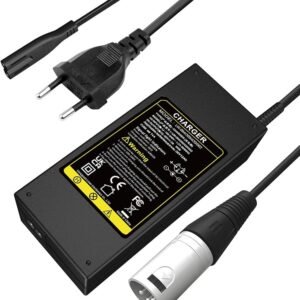 Labtec Caricabatteria 42V 36V 2A per Batteria al litio con connettore XLR a 3 pin per Bici…