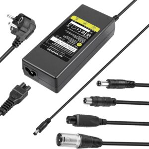 Caricabatterie bici elettrica 42V 2A per batteria Li-on 36V