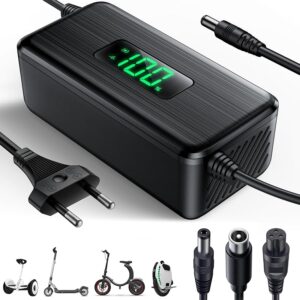 Dufuso Caricatore Adattatore per Scooter Elettrico 42V 3A