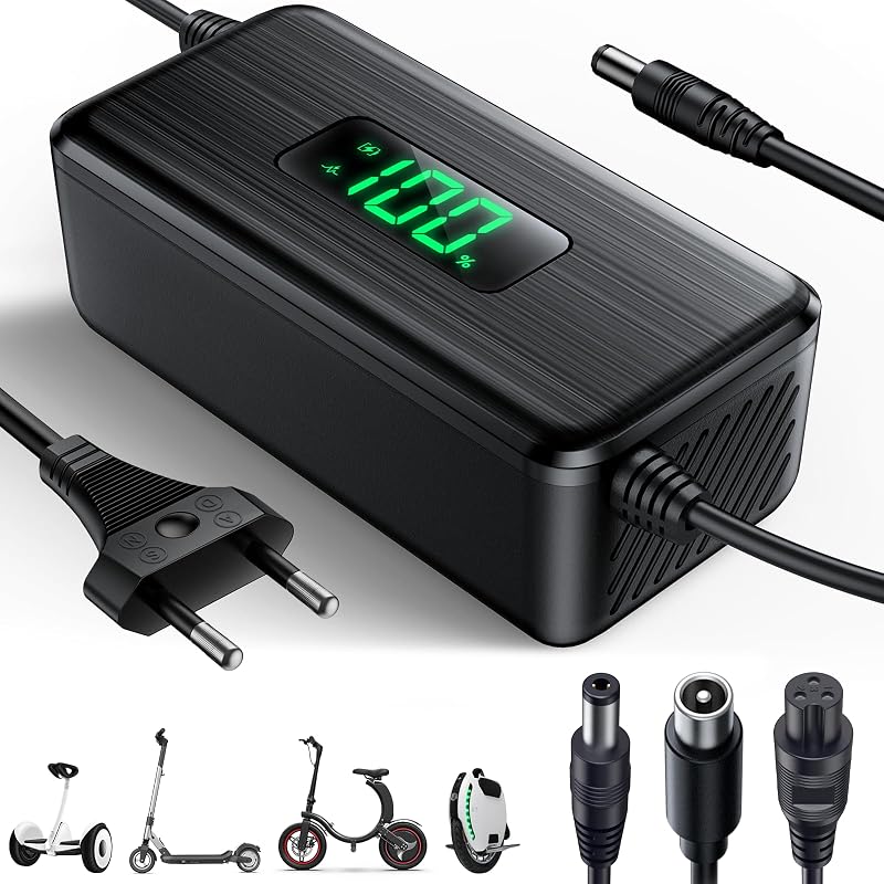 Dufuso Caricatore Adattatore per Scooter Elettrico 42V 3A
