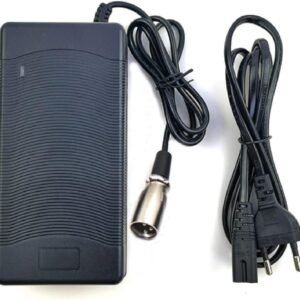Caricatore per Bici elettrica 36v 4A Batteria al Litio 42V 18650 Caricabatteria Universale…